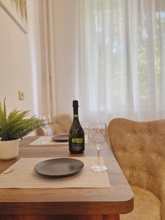 Apartament Timisoara Central Apartament Zewnętrze zdjęcie