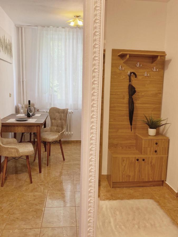 Apartament Timisoara Central Apartament Zewnętrze zdjęcie