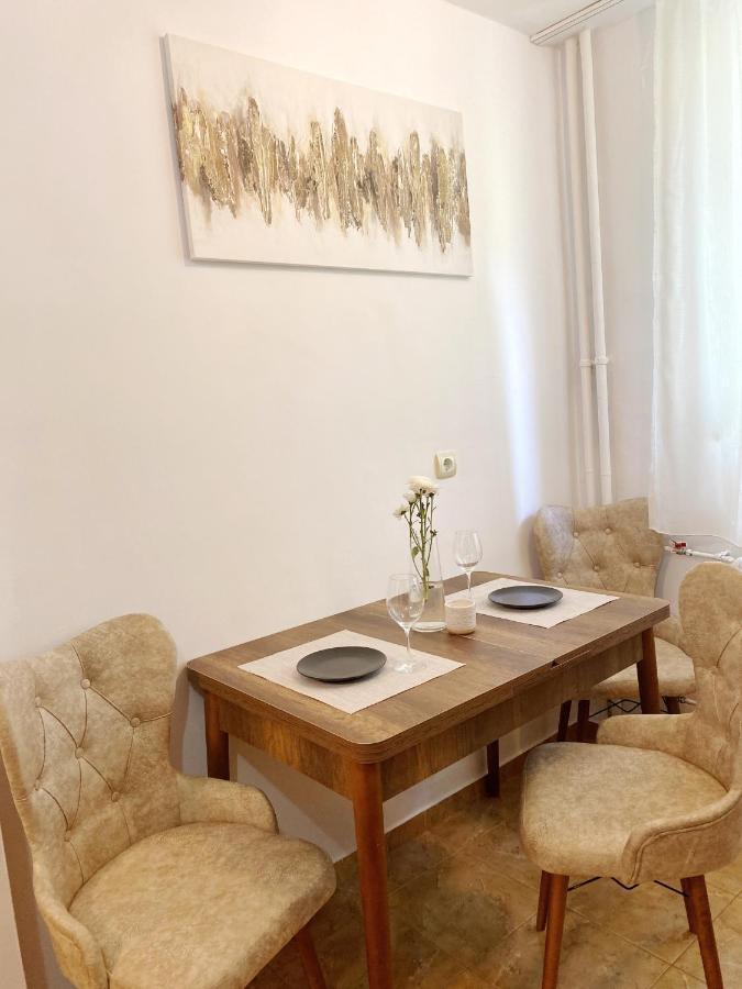 Apartament Timisoara Central Apartament Zewnętrze zdjęcie