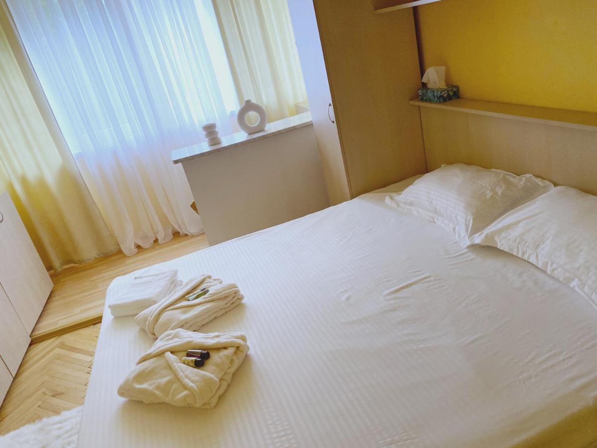 Apartament Timisoara Central Apartament Zewnętrze zdjęcie